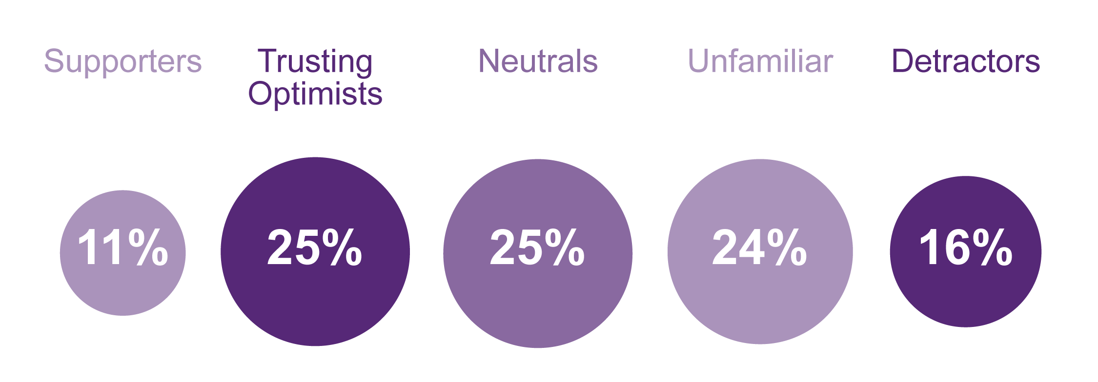 Segmentation Overview Image